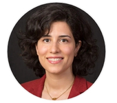 Arghavan Louhghalam,