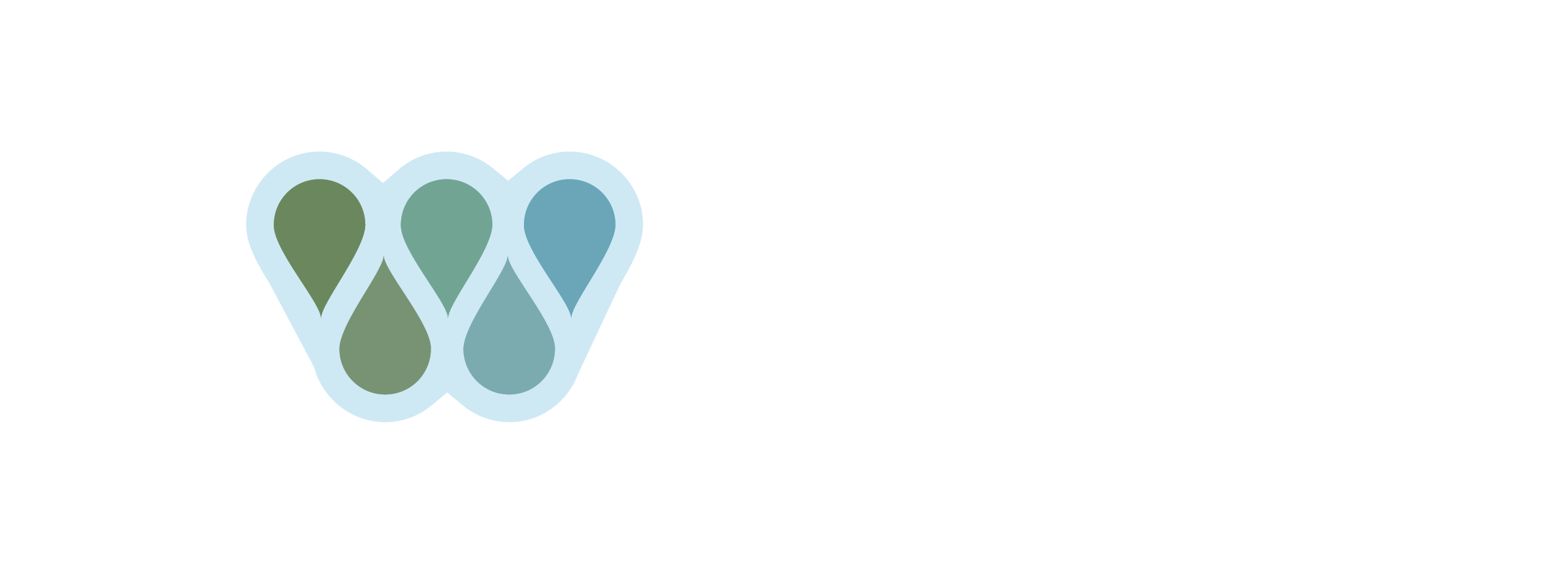 The Water Institute