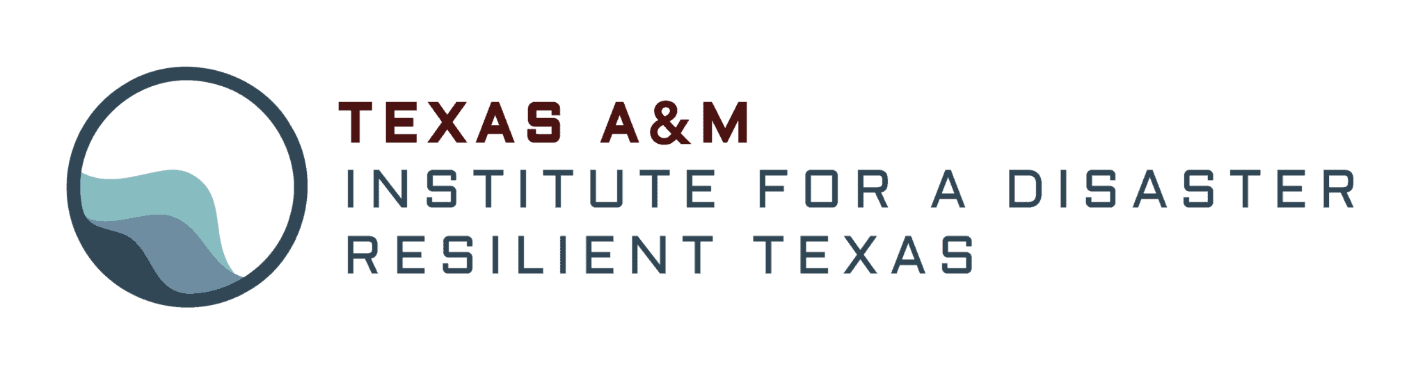 Institute for a Disaster Resilient Texas