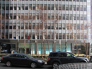 ASCE sent a reconnaissance team was sent to New York City after Hurricane Sandy to assess the performance of various buildings